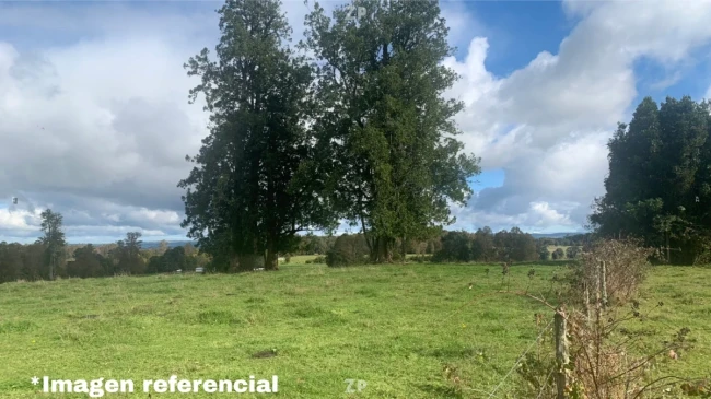 🌿 Campo Agrícola-Ganadero en Venta | 143 Hectáreas | Fresia, Región de Los Lago