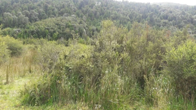 Vendo Campo