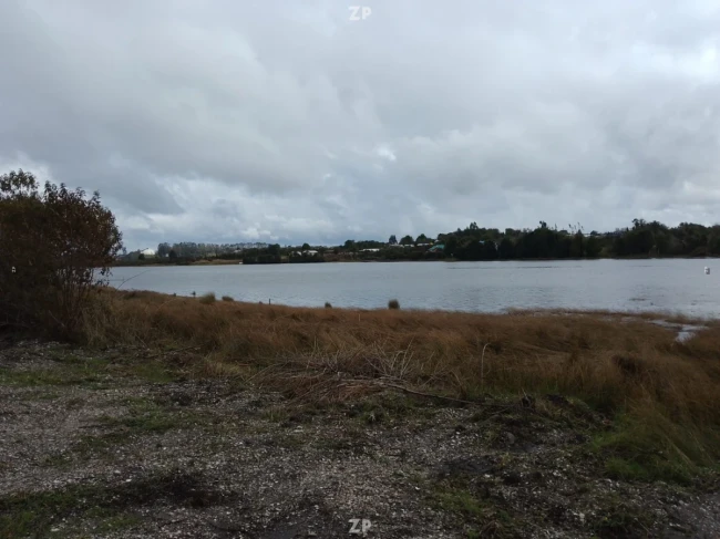 Se vende parcela de 5.000 m² en Isla Quihua: bosque nativo y borde de estero