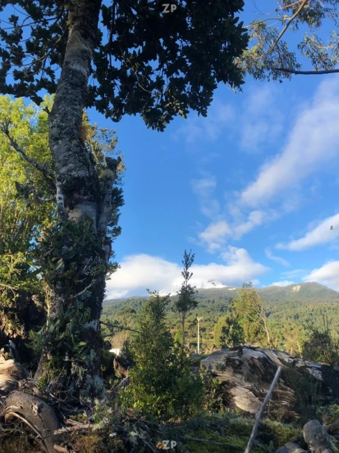 Parcelas en el Sur de Chile: Naturaleza, Conectividad y Alta Plusvalía