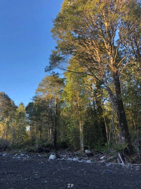 Parcelas en el Sur de Chile: Naturaleza, Conectividad y Alta Plusvalía