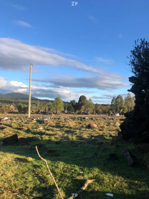Parcelas en el Sur de Chile: Naturaleza, Conectividad y Alta Plusvalía