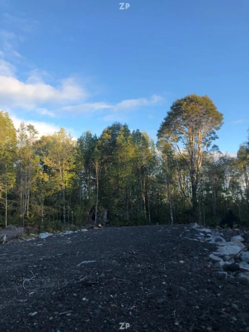 Parcelas en el Sur de Chile: Naturaleza, Conectividad y Alta Plusvalía