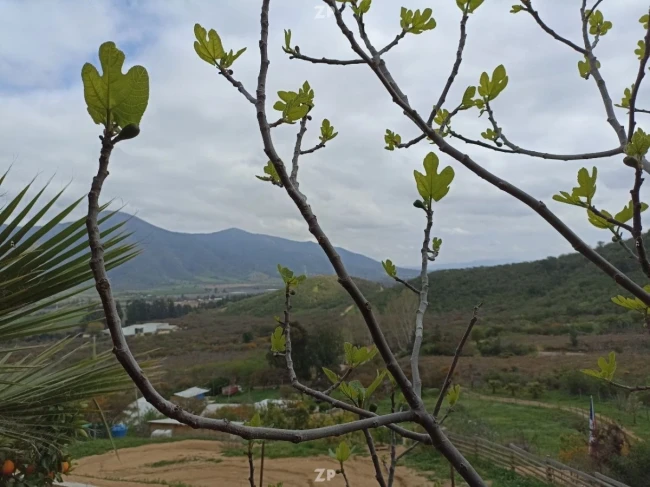 Parcela de casi 4 Hectáreas con 2 Casas, Piscina y Vista Panorámica | Melipilla