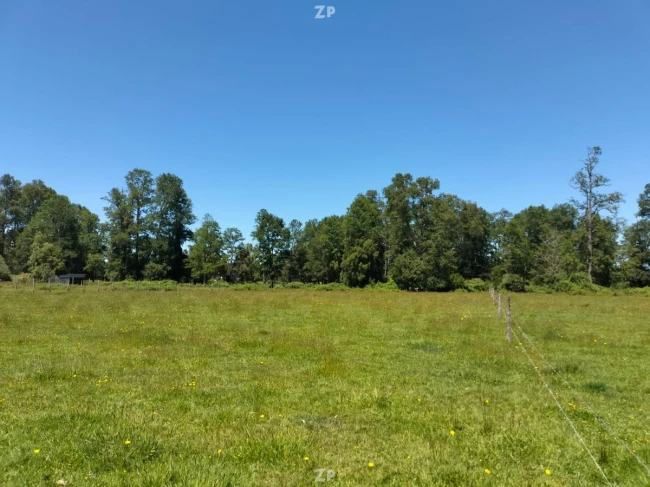 VENDO PARCELA  de 5.000mts2-  Comuna de Osorno - Región de Los Lagos