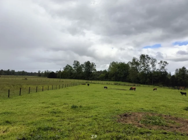Parcela de 5.000mts2- cercana a Lago Rupanco - Comuna de Osorno
