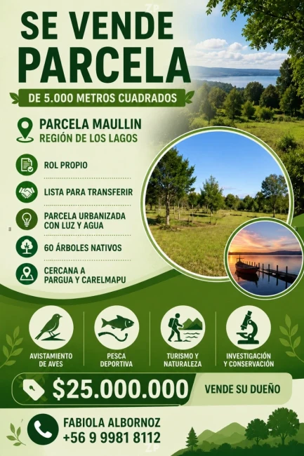 Parcela de 5.000mts, Maullín - Urbanizada y Facilidades de pago 