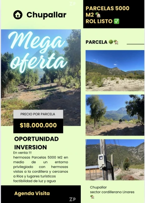 Parcelas 5000 M2 Rol Listo