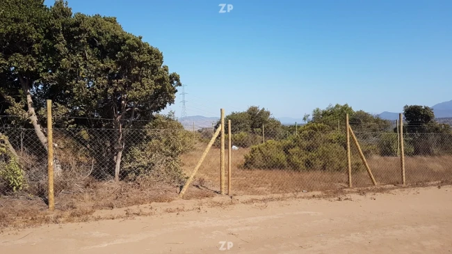 1.000 m² Cerca de Papudo | Comunidad Consolidada | Ruta 5 Norte