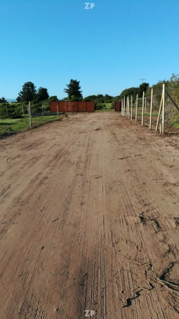 1.000 m² Cerca de Papudo | Comunidad Consolidada | Ruta 5 Norte