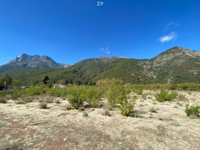 Parcelas 5000 M2 Rol Listo