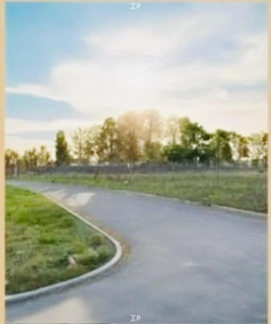 Parcelas 5000 M2 Rol Listo 