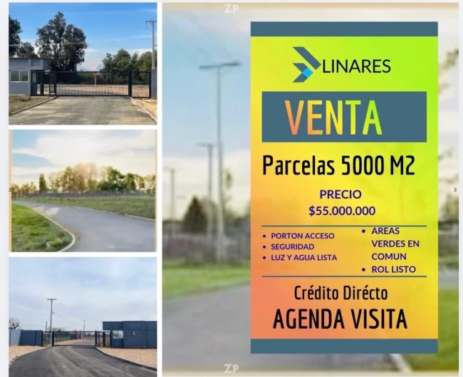 Parcelas 5000 M2 Rol Listo 