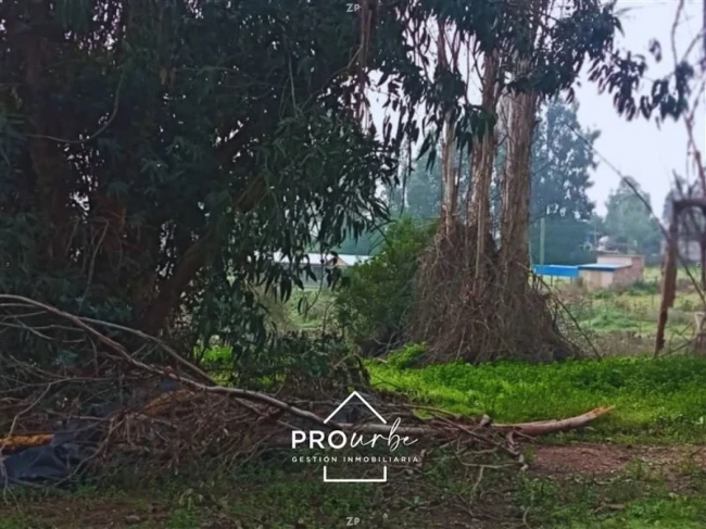 Parcela en Venta en Colonia Agrícola de Puangue, Melipilla | 5.035 m²