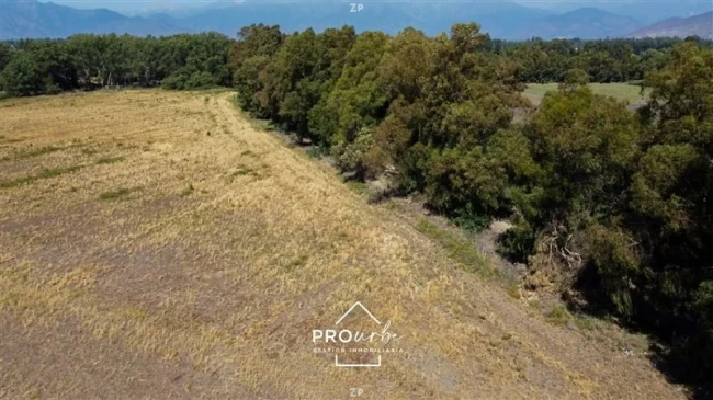 Venta Parcela Agrícola 17 Has en Champa, Paine – Suelos RI y RII