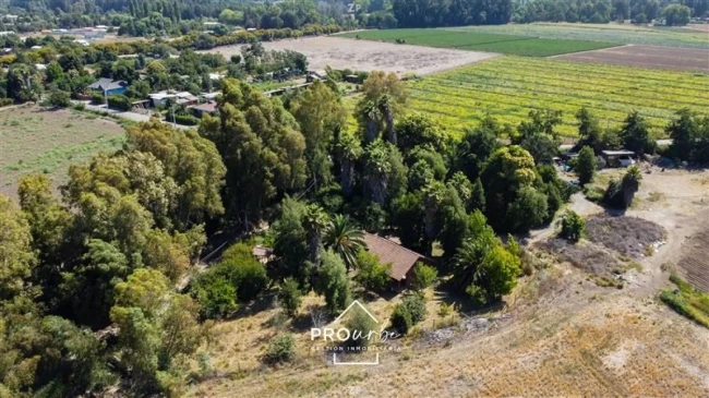 Venta Parcela Agrícola 17 Has en Champa, Paine – Suelos RI y RII