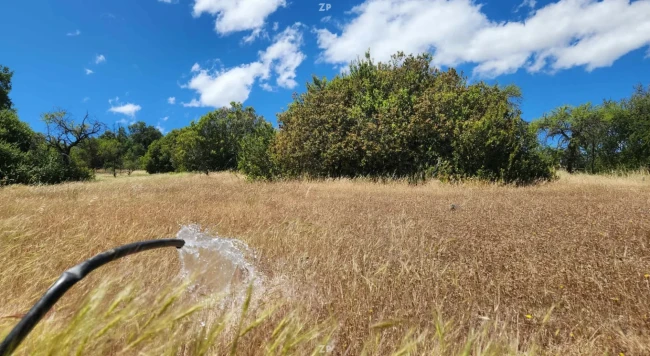 Parcela en Venta en Pencahue | 5.000 m² en Sector Curtiduría Las Cabras
