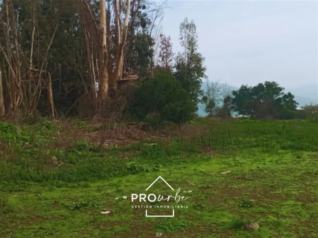 Parcela en Venta en Colonia Agrícola de Puangue, Melipilla | 5.035 m²
