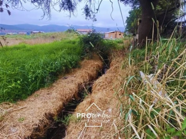 Parcela en Venta en Colonia Agrícola de Puangue, Melipilla | 5.035 m²