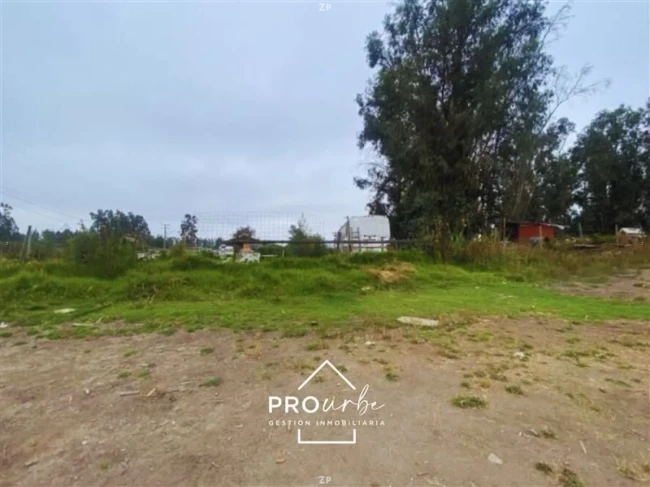 Parcela en Venta en Colonia Agrícola de Puangue, Melipilla | 5.035 m²