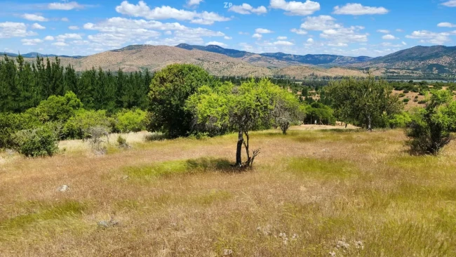 Parcela en Venta en Pencahue | 5.000 m² en Sector Curtiduría Las Cabras