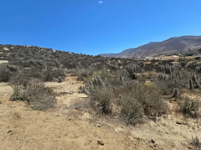 Parcela en Venta en Sector Quilacán | 5.000 m² con Rol Propio