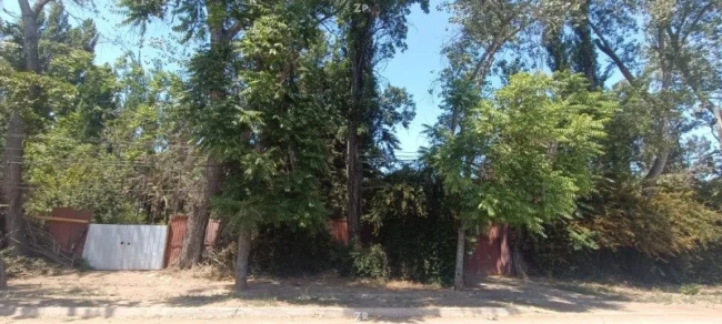 Parcela en venta de 10.000 m² con 9 dormitorios, piscina y terraza