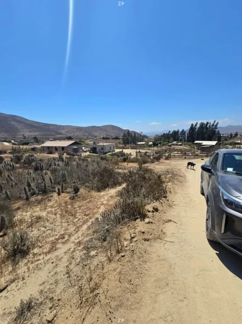 Parcela en Venta en Sector Quilacán | 5.000 m² con Rol Propio