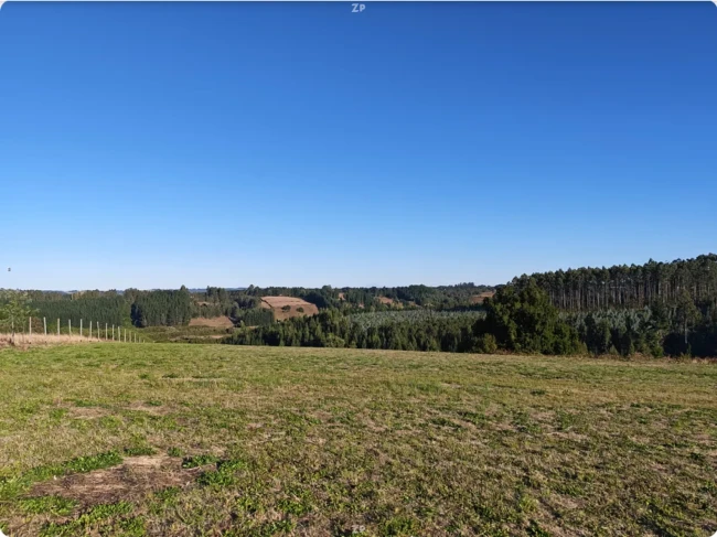 Terreno en Venta en Sector Cancha Larga | 10.300 m² con Rol Propio