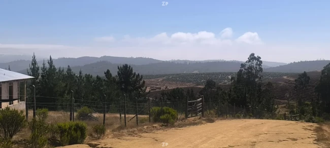 Foto 2 de la propiedad