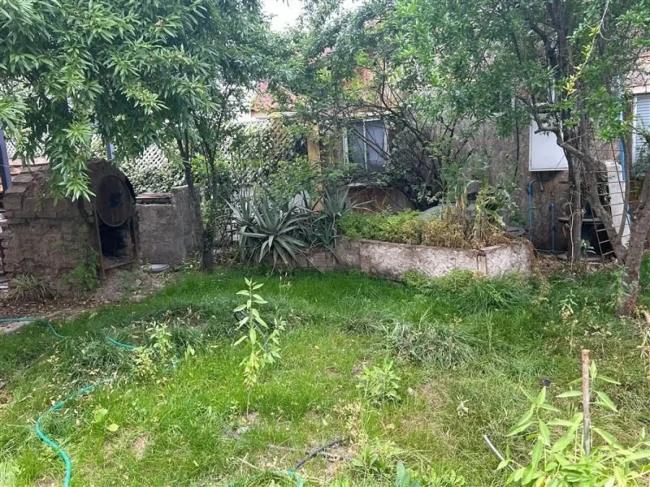 Parcela en venta con casa de 4 dormitorios, bodegas y árboles frutales