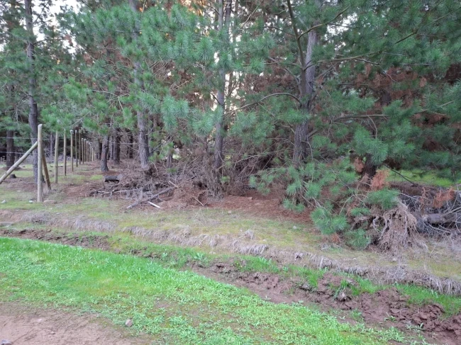 Terreno 5000 mt2, al interior de chépica