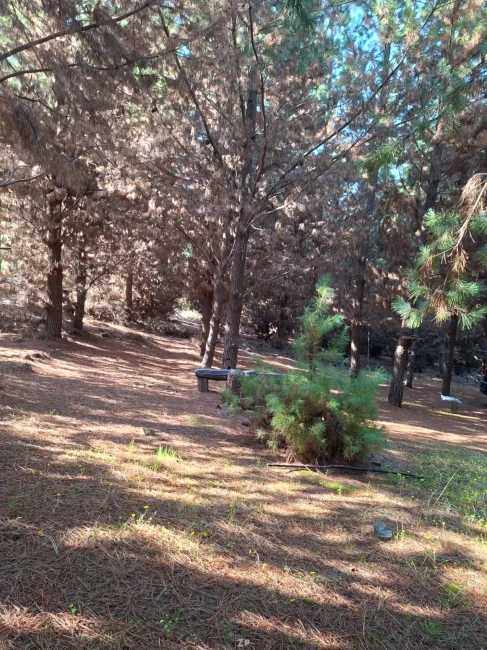 Terreno 5000 mt2, al interior de chépica