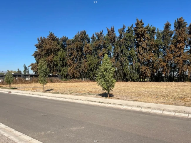 Parcela en venta de 5.059 m² plana con pinos y seguridad 24/7