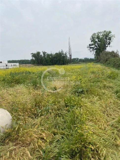 Parcela en venta de 5.000 m²