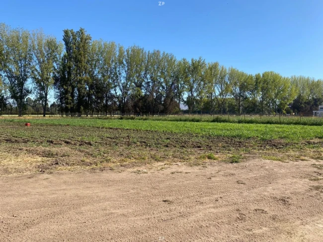 Parcela en venta de 5.000 m² con cierre perimetral y empalme eléctrico