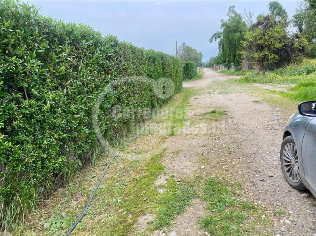 Parcela en venta de 5.000 m²