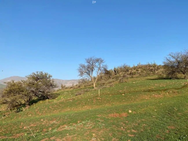 Parcela en venta de 39.350 m² con reserva ecológica en condominio