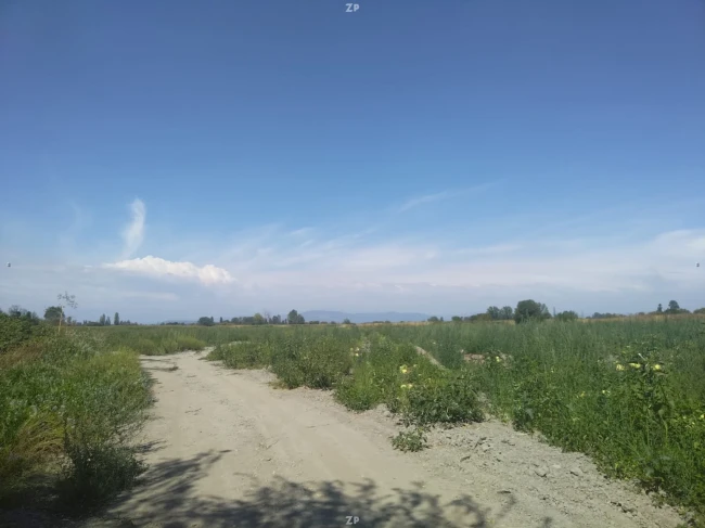 Terreno en Longaví de 33.6 hectáreas plano, agua potable.