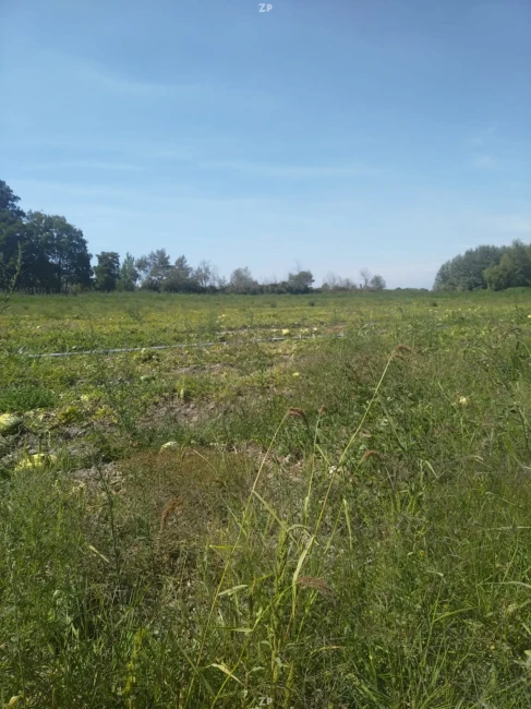 Terreno en Longaví de 33.6 hectáreas plano, agua potable.