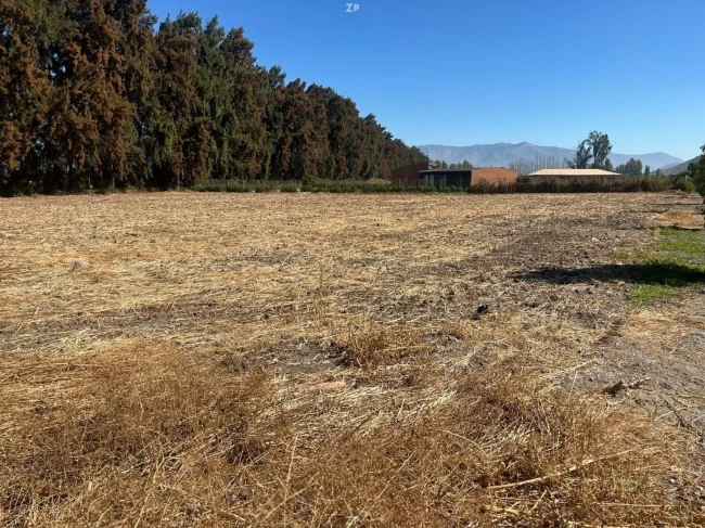 Parcela en venta de 5.059 m² plana con pinos y seguridad 24/7