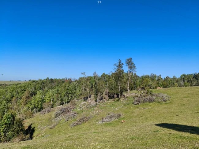 Económicas parcelas de 5.000 m2 en los piques, los muermos