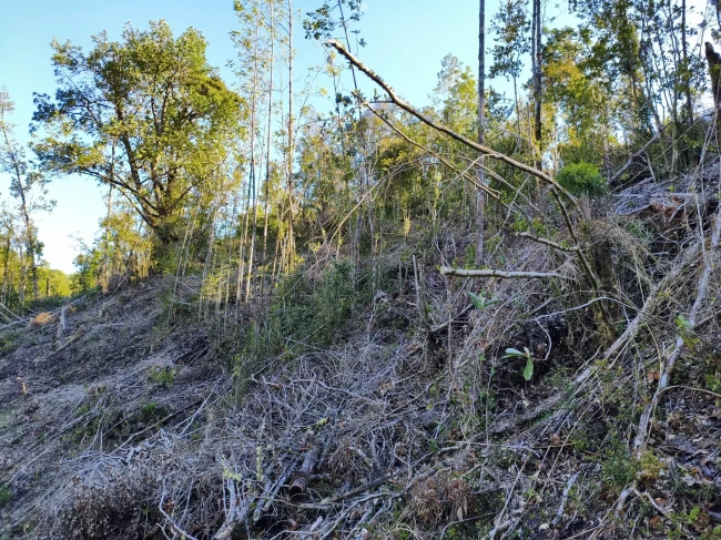 Económicas parcelas de 5.000 m2 en los piques, los muermos