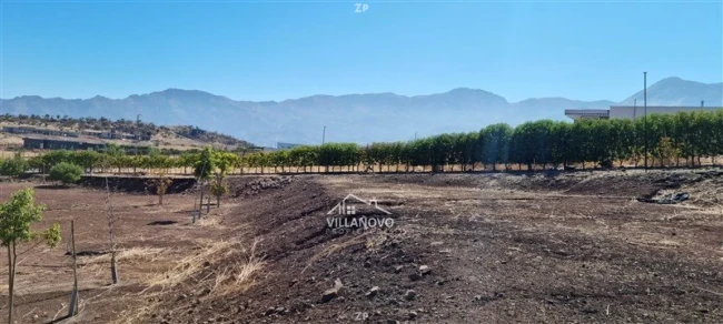Foto 1 de la propiedad