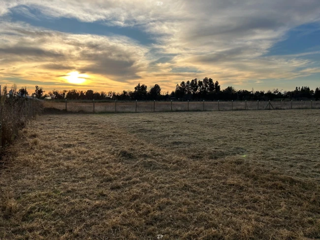 Venta de parcela de 5.300 m2 a 10 min de Las Rastras