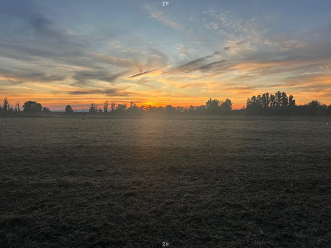 Venta de parcela de 5.300 m2 a 10 min de Las Rastras