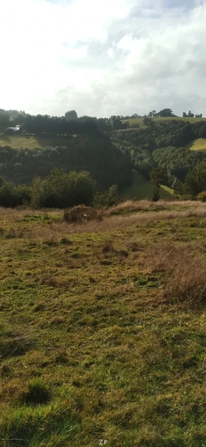 Excelente oportunidad de inversión en Chiloé: 