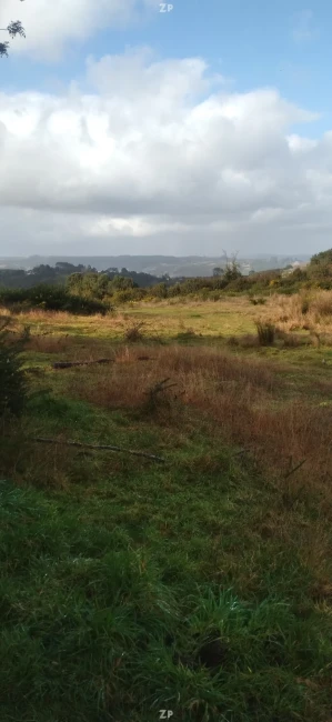 Excelente oportunidad de inversión en Chiloé:
