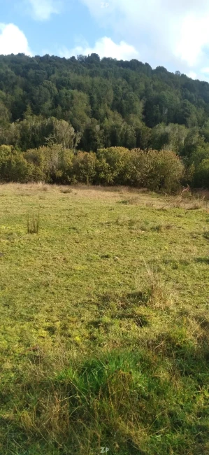 Excelente oportunidad de inversión en Chiloé: 