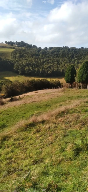 Excelente oportunidad de inversión en Chiloé: 